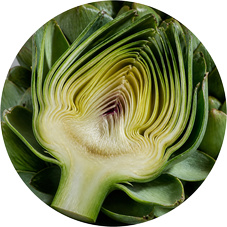 Artichoke Leaf Extract