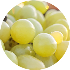 Grapes