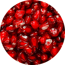 Pomegranate