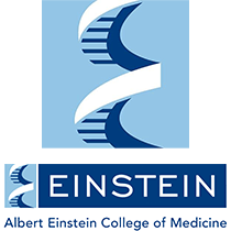 Albert Einstein College Of Medicine