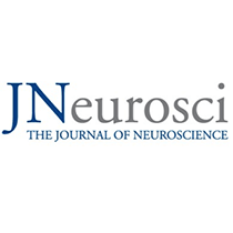 The Journal of Neuroscience