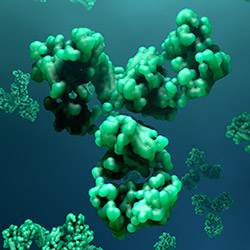 image showing the Slows Aging Process