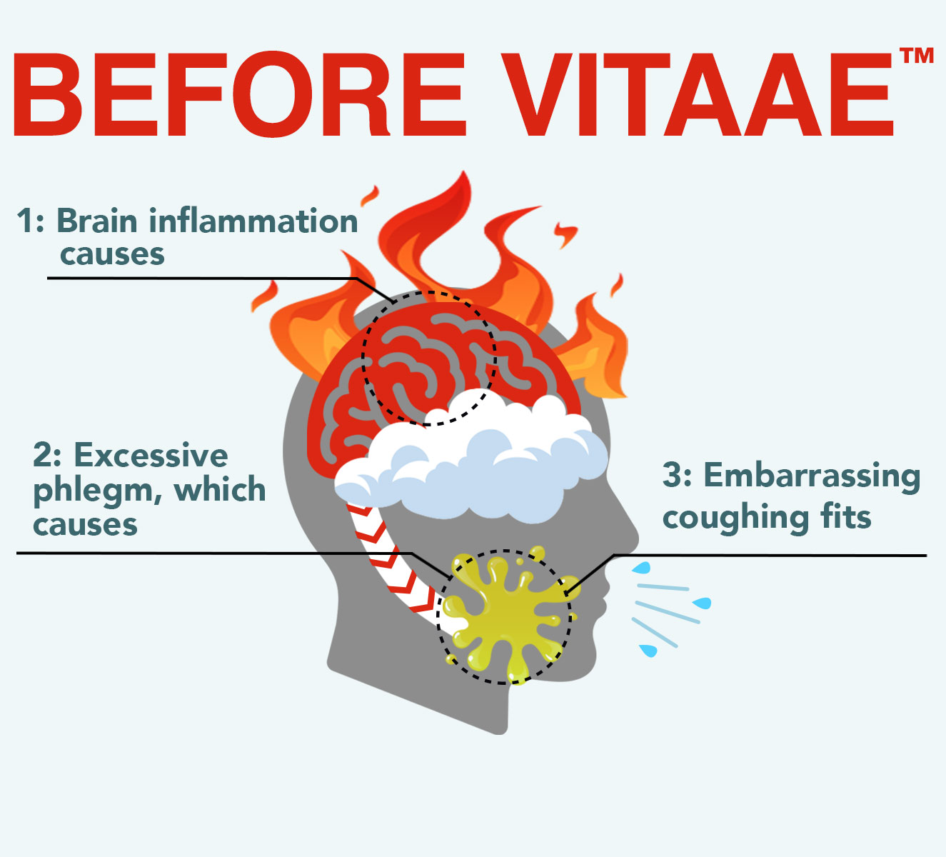 Brail inflammation before Vitaee
