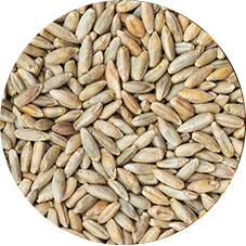 Grains