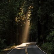 An image of sun shining onto a road through the trees.