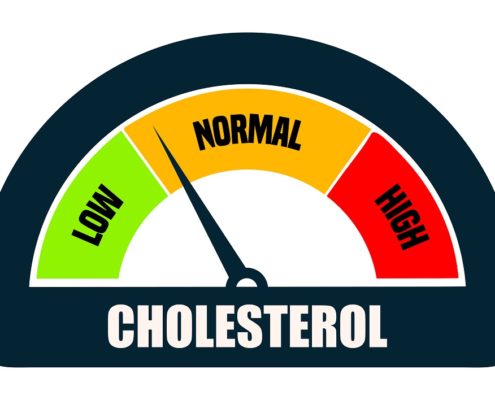 A graphical image of a cholesterol meter with the needle on the lower part of normal with text that reads, cholesterol, low, normal, high.