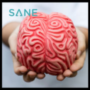 An image of two hands holding a model of the human brain.