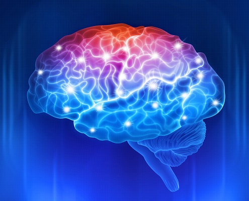 A graphical image of a human brain with sparkly dots of energy. 