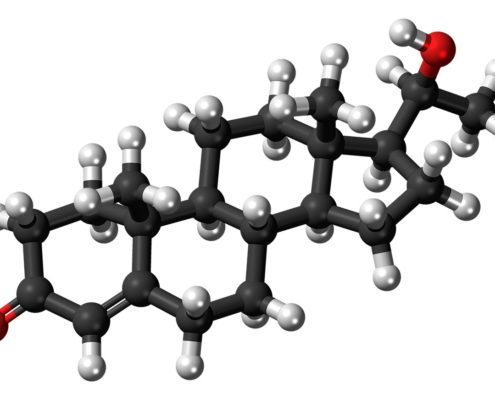 A graphical image of a testosterone molecule. 
