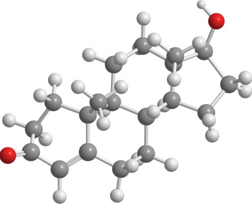 A graphical image of a testosterone molecule. 