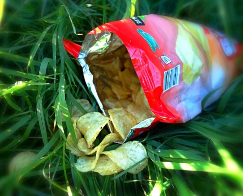 An image of outdoor  greenery holding an opened bag of potato chips, with chips that have spilled out. 