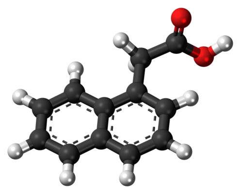 An image of the chemical makeup of a hormone.