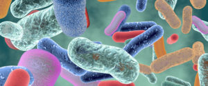 A cartoon rendering of different colored gut bacteria. 
