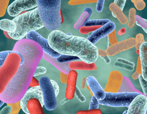 A graphical images of bacteria.'