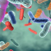 A graphical image of a variety of different colored gut bacteria on green background.