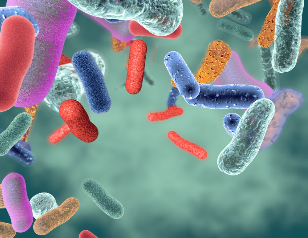 A graphical image of a variety of different colored gut bacteria on green background.