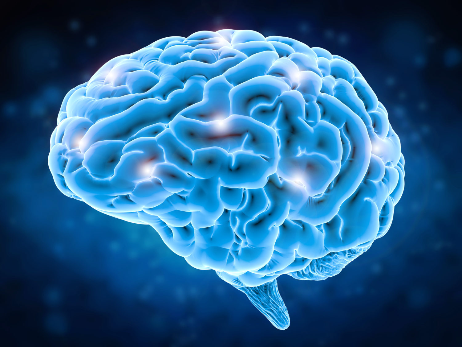 Головной мозг. Brain imaging