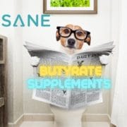 A graphical image of a dog sitting on a toilet reading a newspaper.