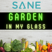 An image of various fruits and vegetables on a wooden table with text that reads SANE Garden in my Glass.