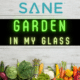 garden in my glass
