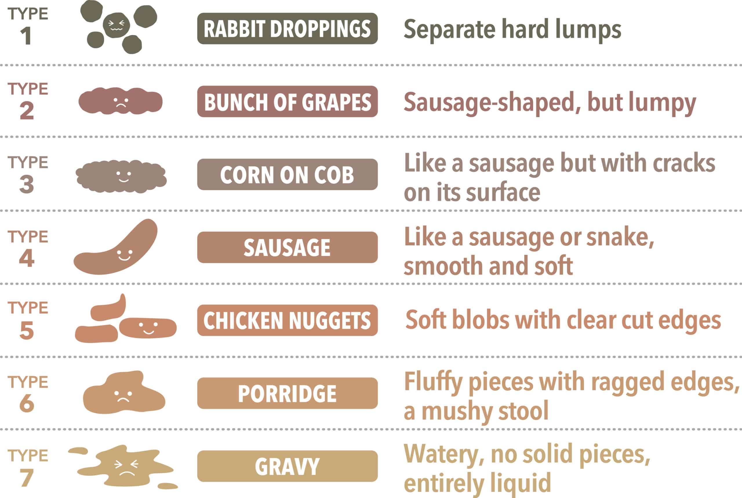 Bristol Stool Scale