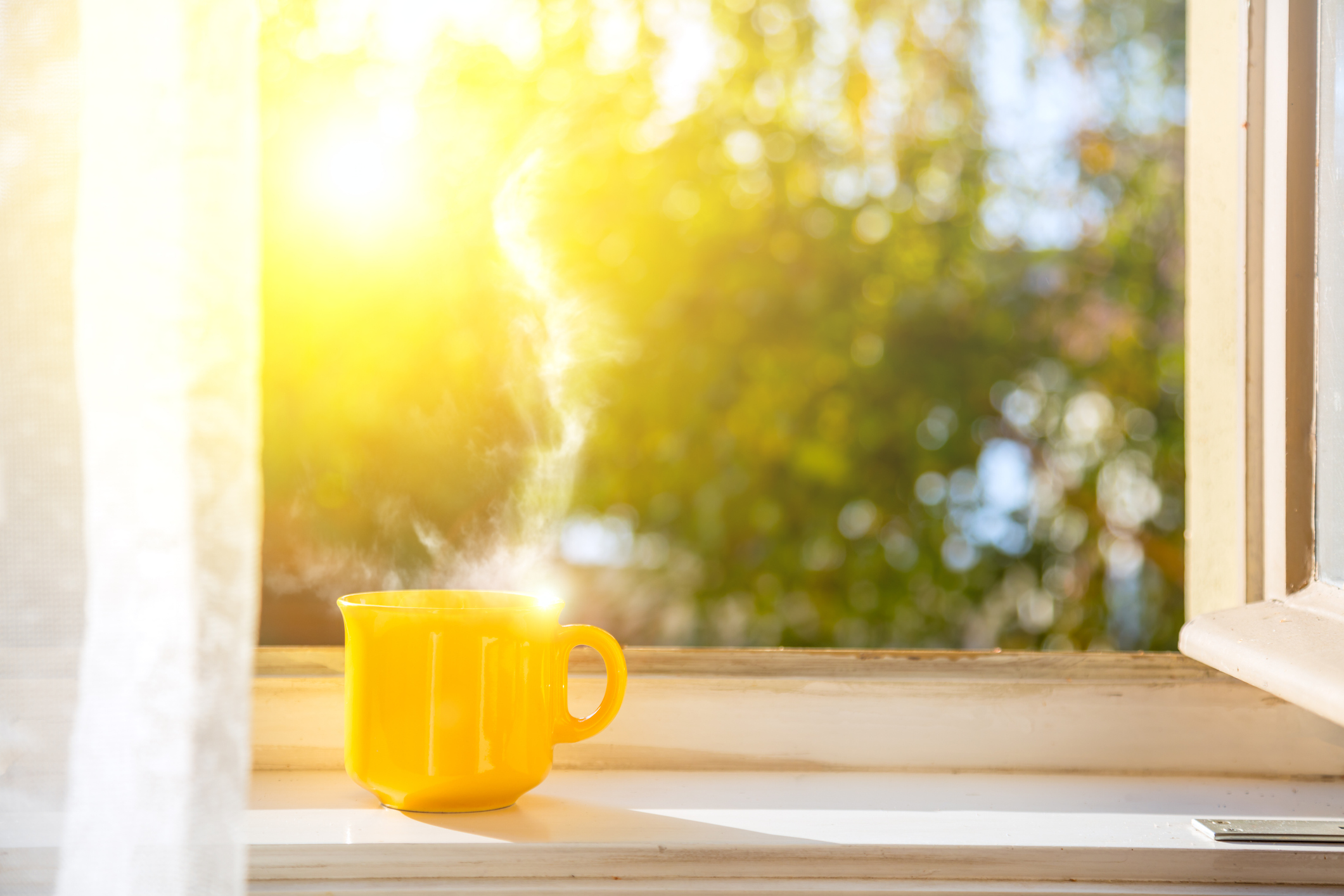 An image of a morning cup of coffee on a window sill with defocused nature background.