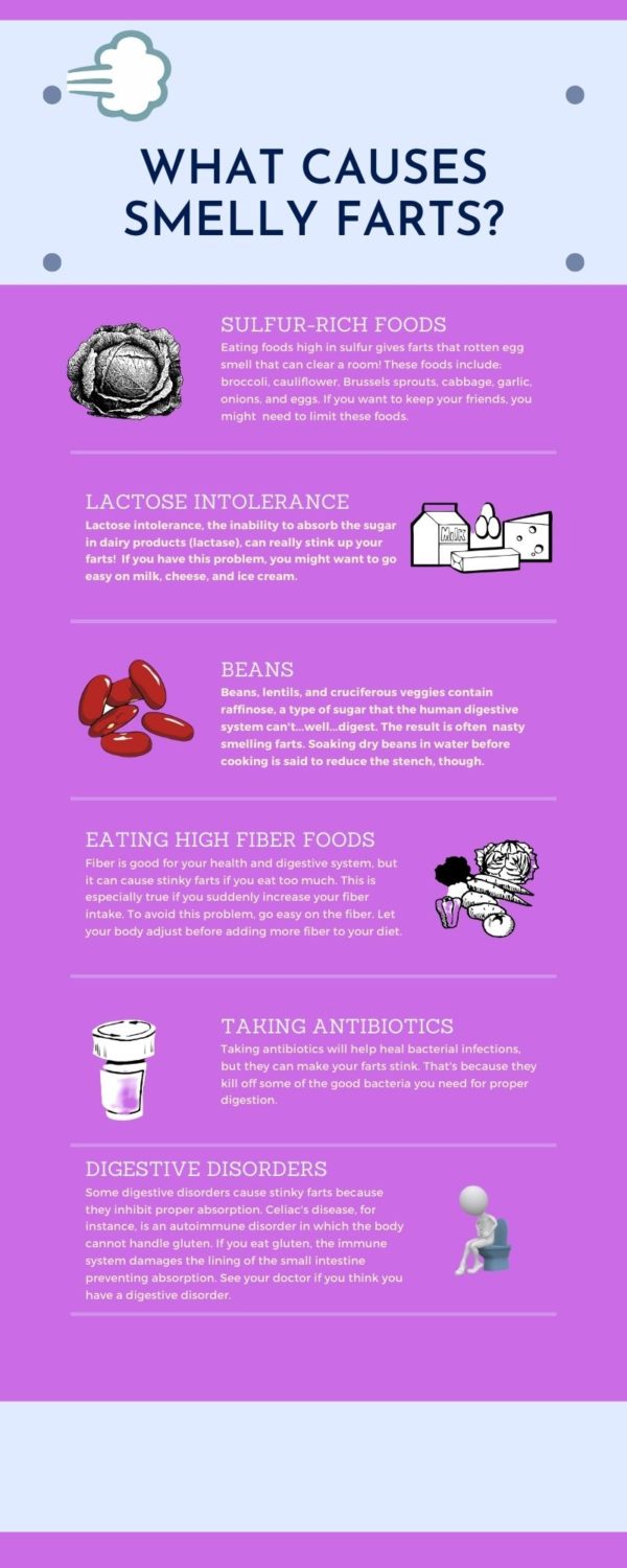 Why Do Farts Smell Bad? Ask Poo Doctor