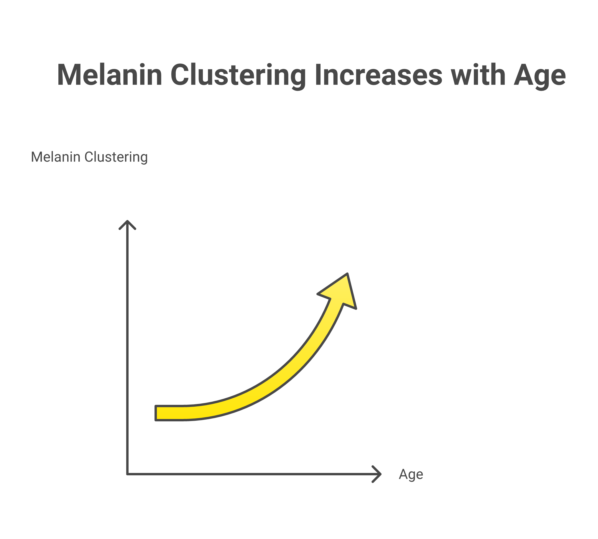 Three main causes of dark spots after age 60 including UV damage and slow cell turnover