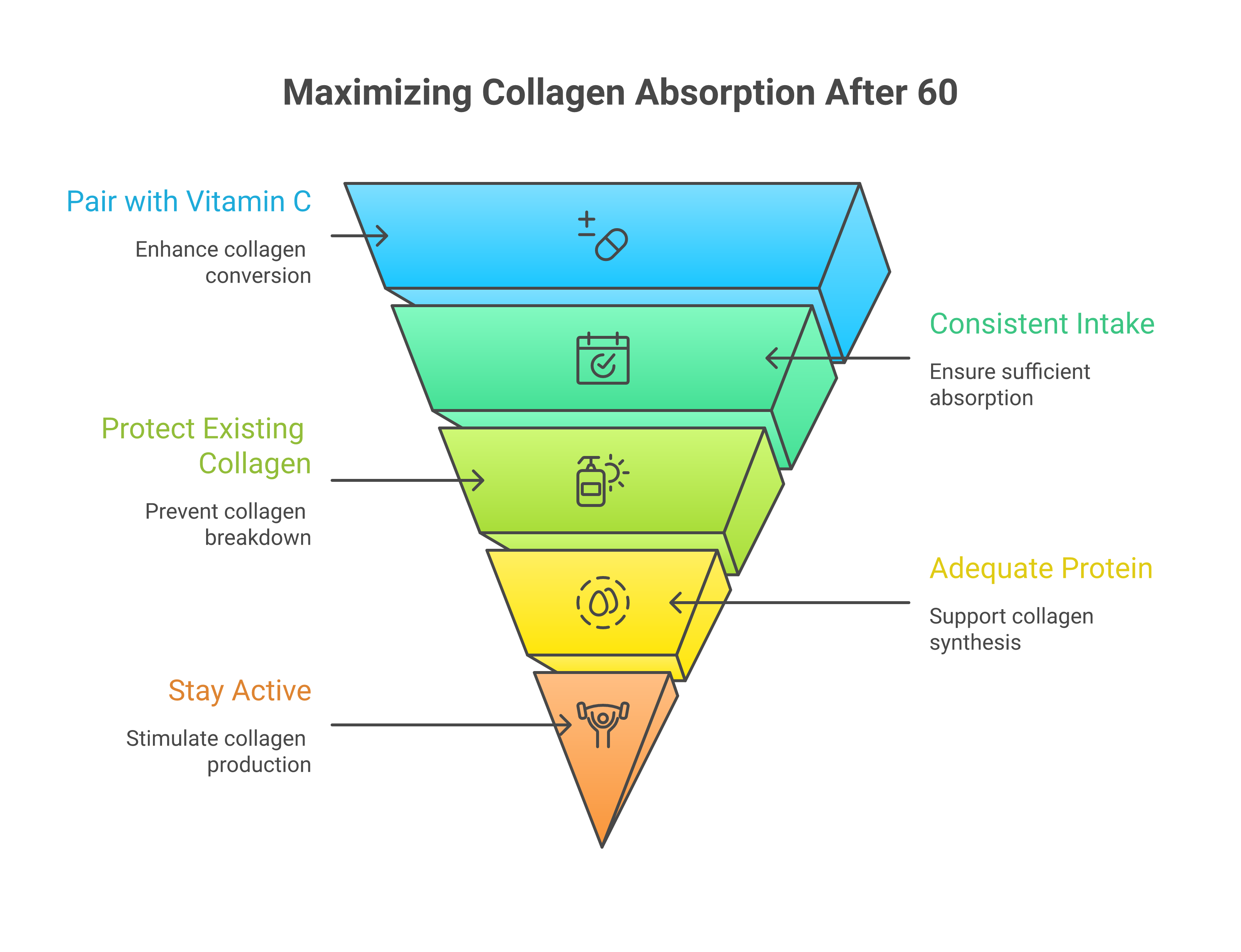 Five tips to maximize collagen absorption after 60 including vitamin C pairing and exercise