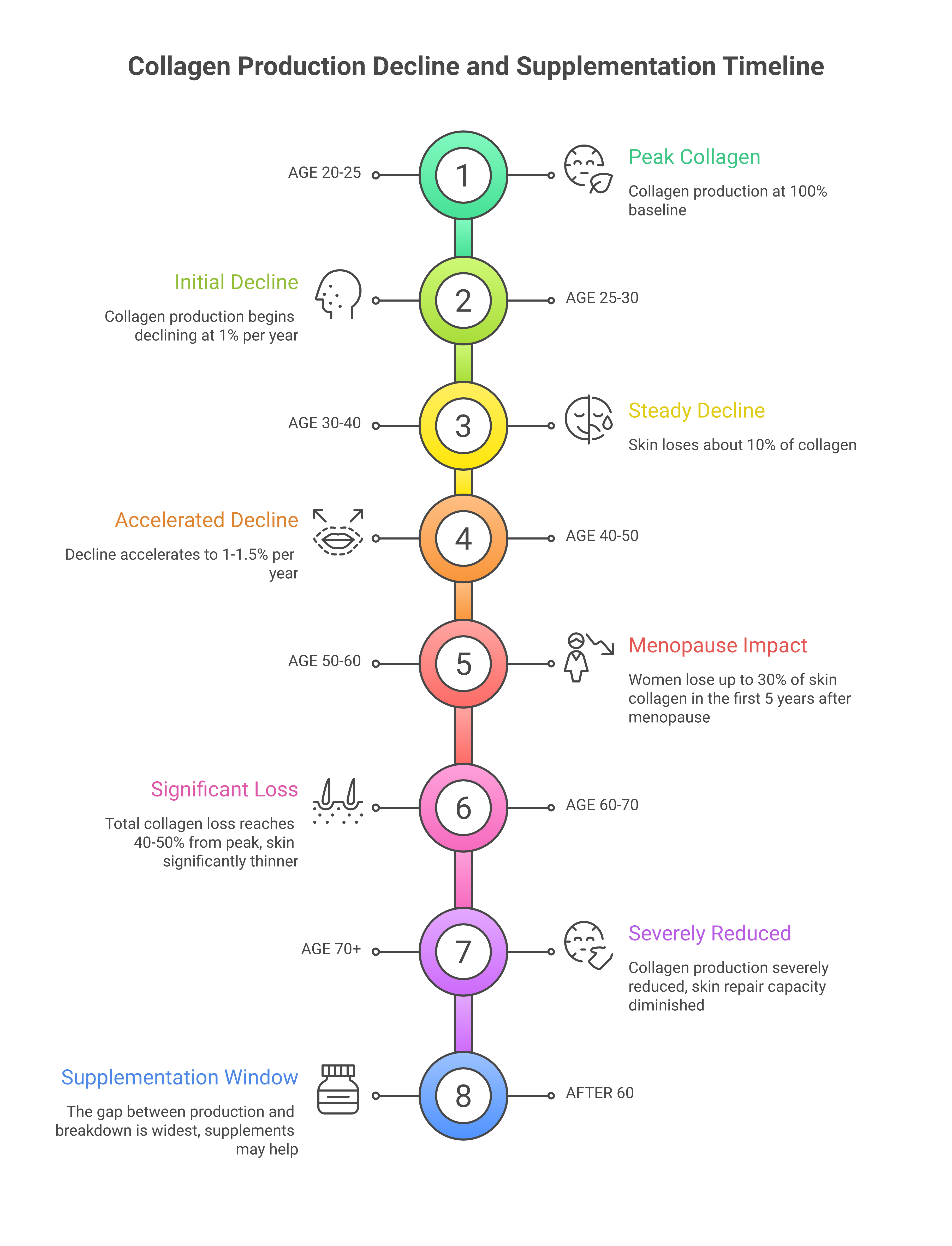 Chart showing collagen production declining 1 to 1.5 percent per year from age 25 with accelerated loss after menopause