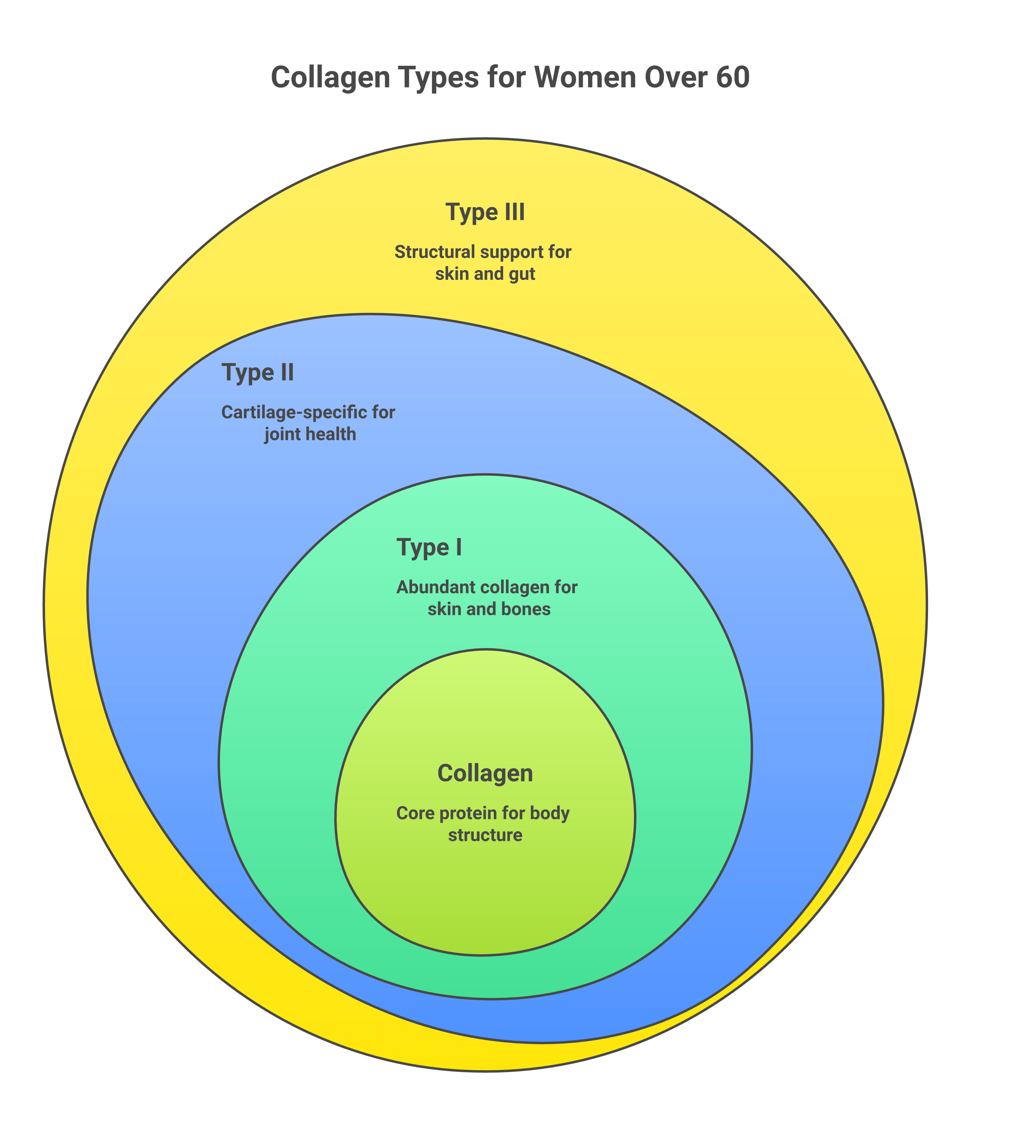 Infographic showing collagen Types I, II, and III breakdown with sources and benefits for women over 60
