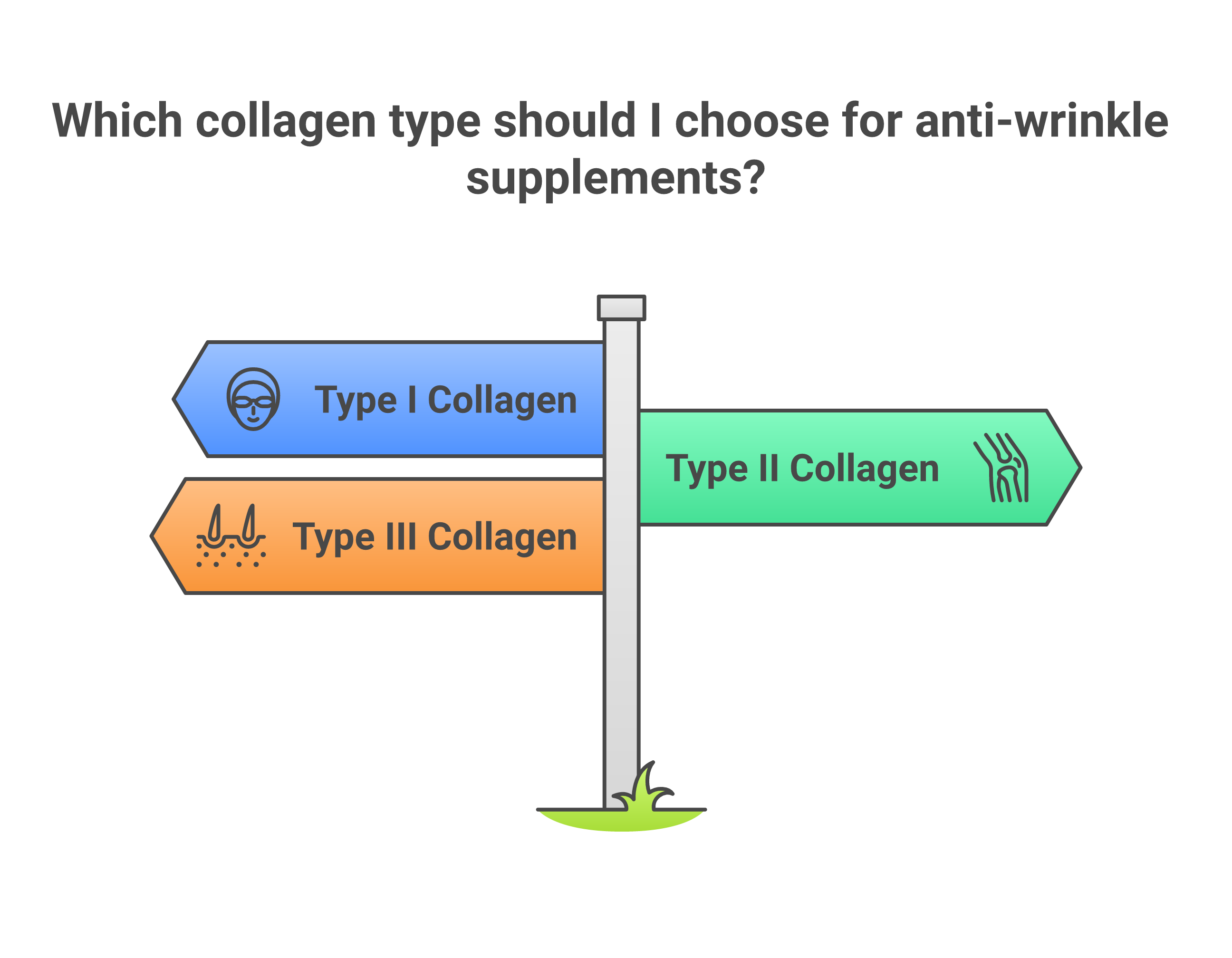 Collagen types I, II, and III comparison chart showing sources, dosage ranges, and timeline for wrinkle improvement