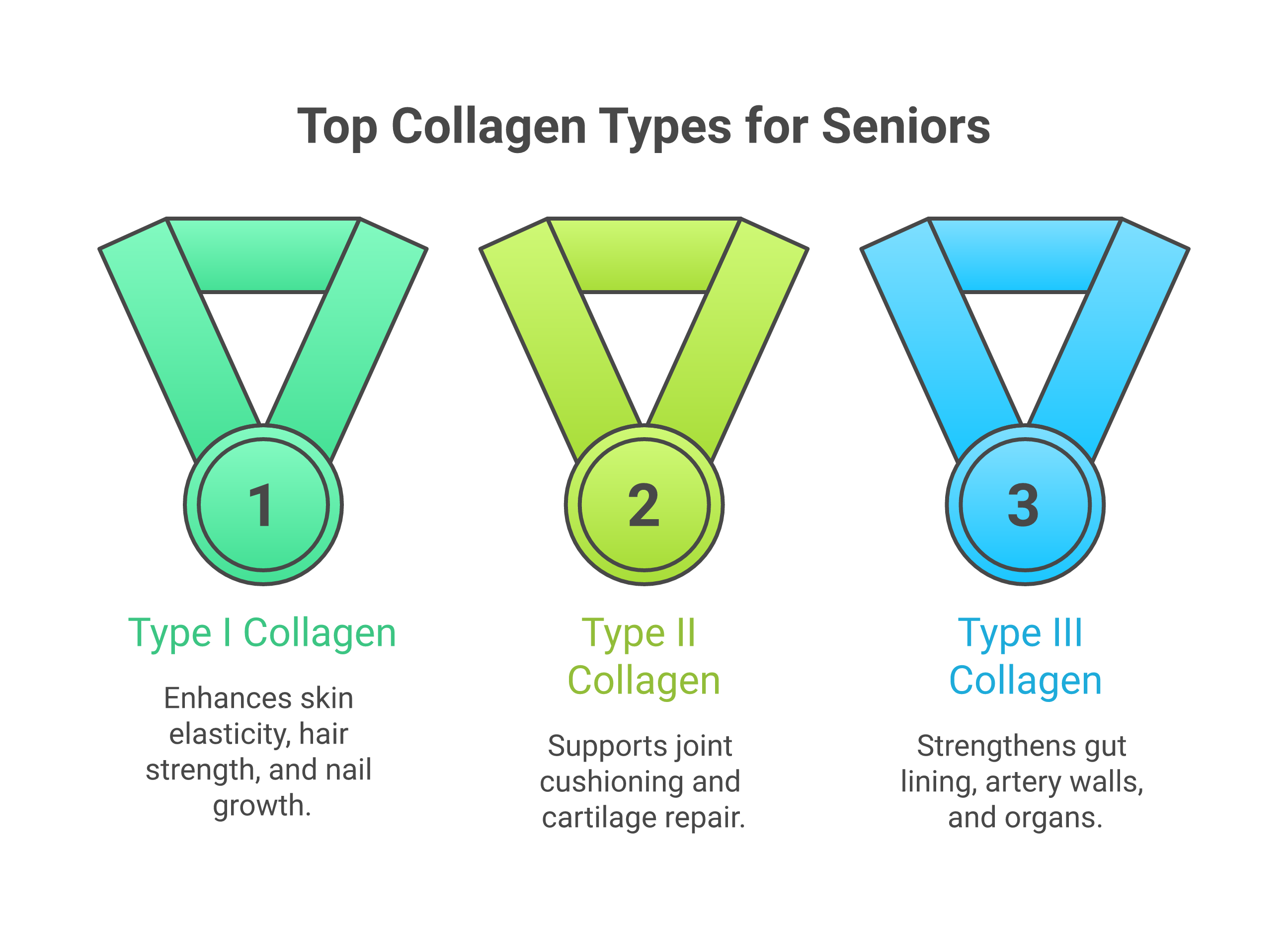 Comparison chart of collagen types I II and III showing benefits sources and supplement forms for seniors