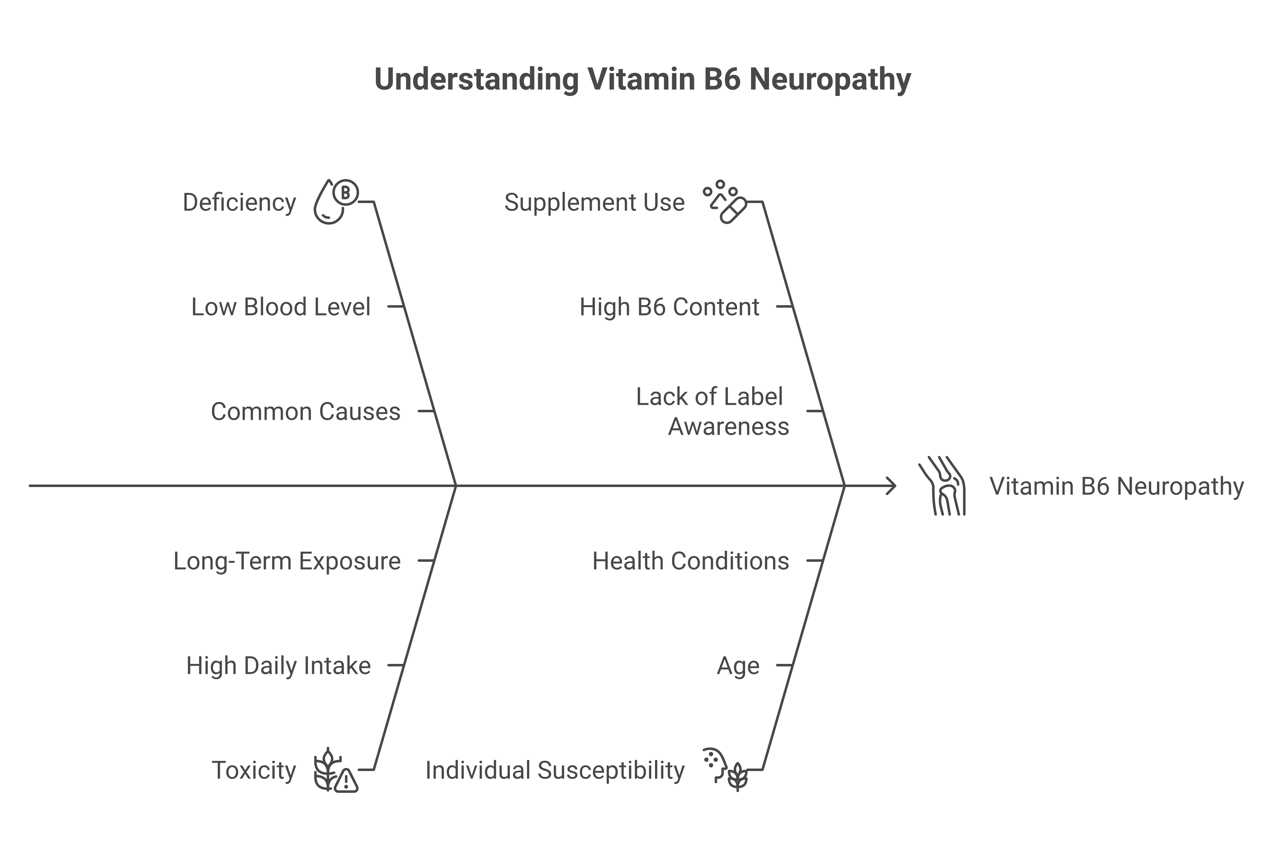 Safety chart showing vitamin B6 deficiency causes neuropathy below 20 nmol/L and toxicity causes neuropathy above 100mg per day